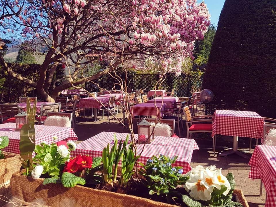 Hotel Restaurant Aux Sapins Thann Zewnętrze zdjęcie