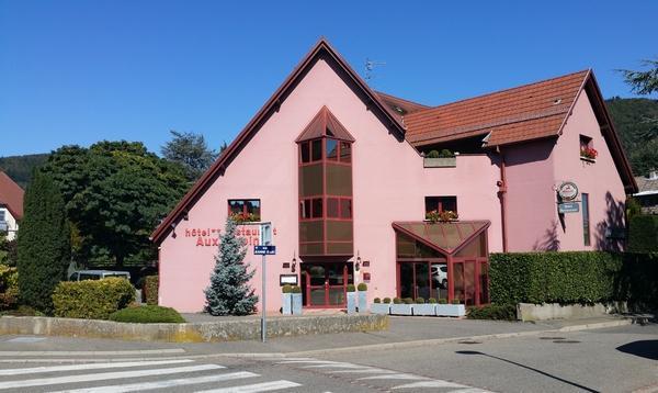 Hotel Restaurant Aux Sapins Thann Zewnętrze zdjęcie